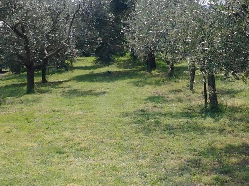 Agriturismo Corte Galvani Неграр Екстериор снимка